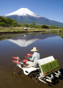 Hightech ontwikkelingen in de Japanse landbouw