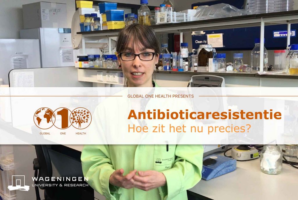 GlobalOneHealth antibioticaresistentie