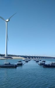 windmolens_SandervandenBurg, zeebouw
