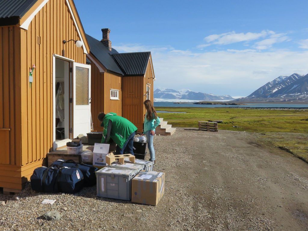 Hoeveel kwik vinden we in bodemdieren op een arctische fjord?