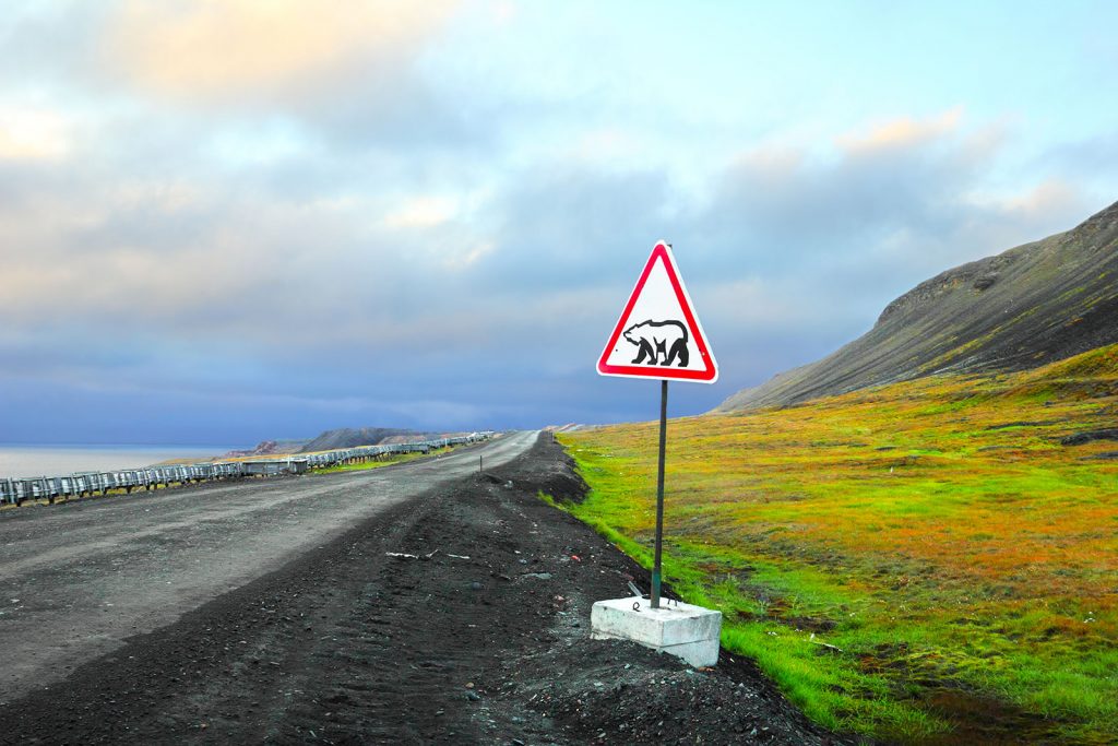 Ijsbeer waarschuwing in longyearbyen