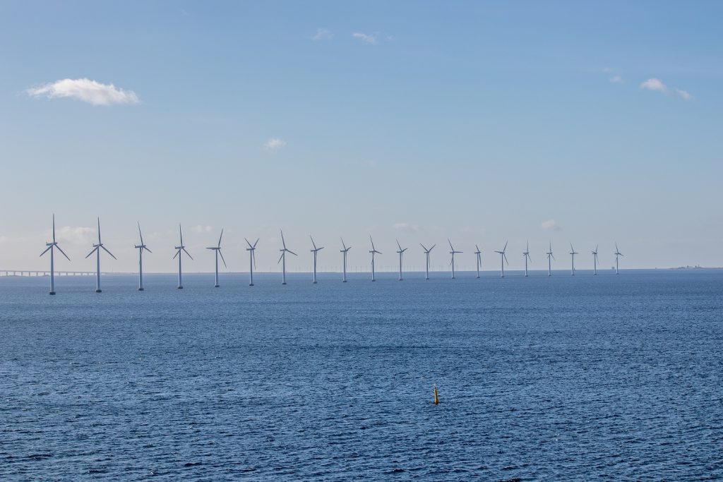 Bescherming natuur bij windparken op zee