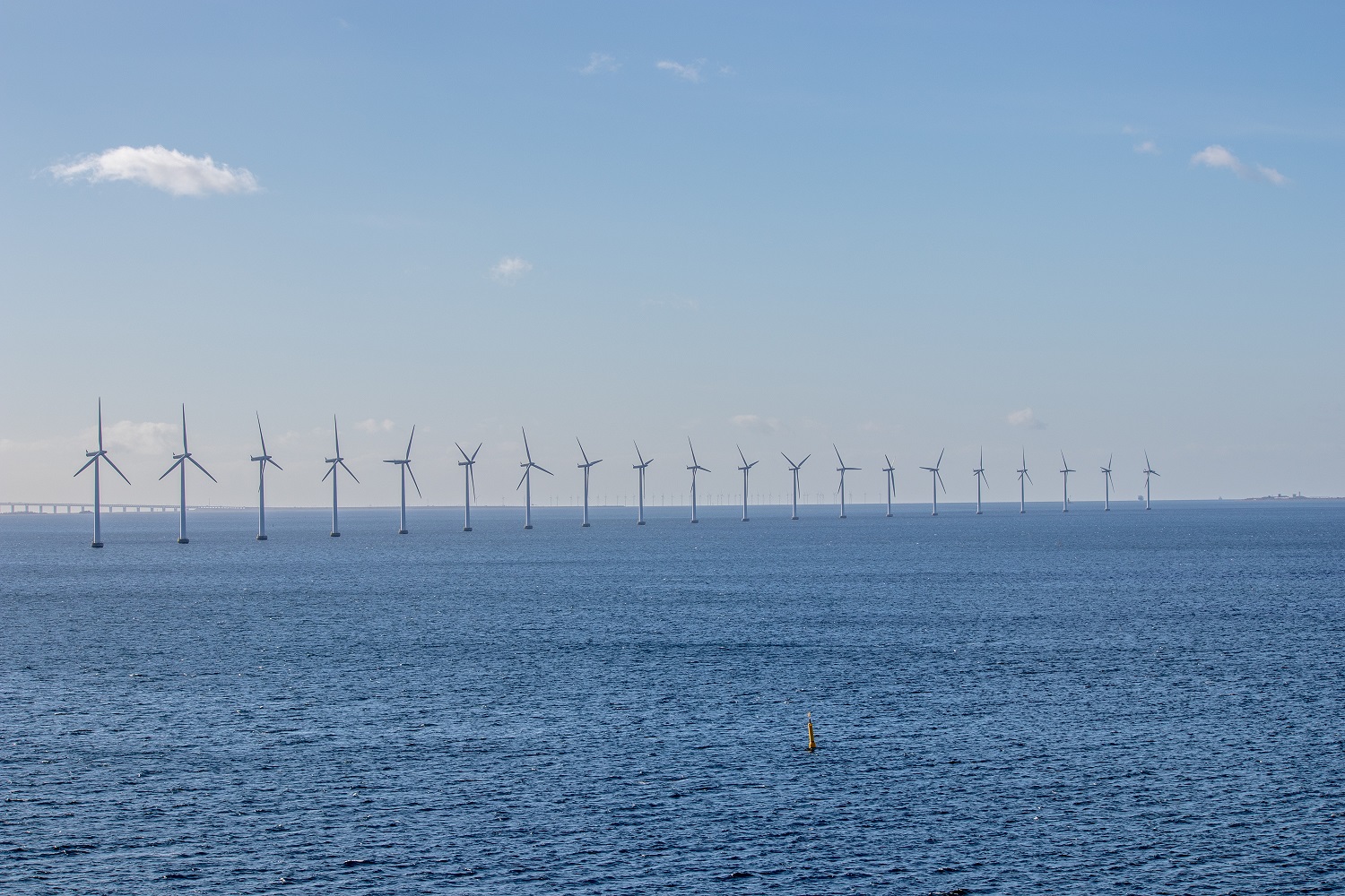 Bescherming natuur bij windparken op zee - Uitgelicht