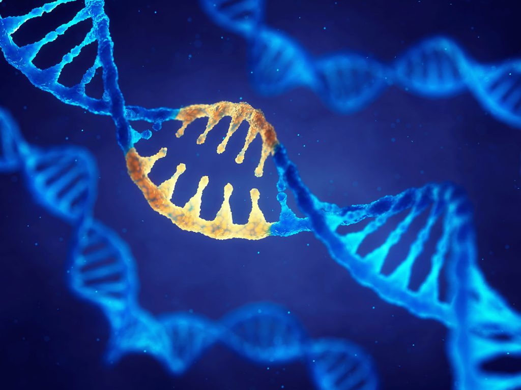 De mogelijkheden van gentechnologie CRISPR-Cas
